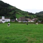 azoras (5)