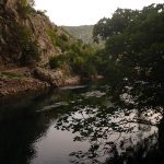 dsc00345
