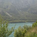 dsc00354