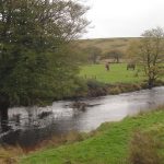 dsc00484