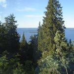 dsc01285