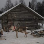 dsc02241