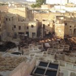 euromed-fes (36)
