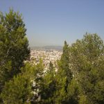 euromed-marseille (11)