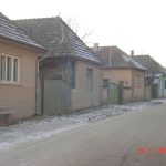 kovacsa (10)