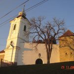 kovacsa (11)