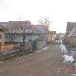 kovacsa (12)