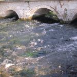 ohrid (9)